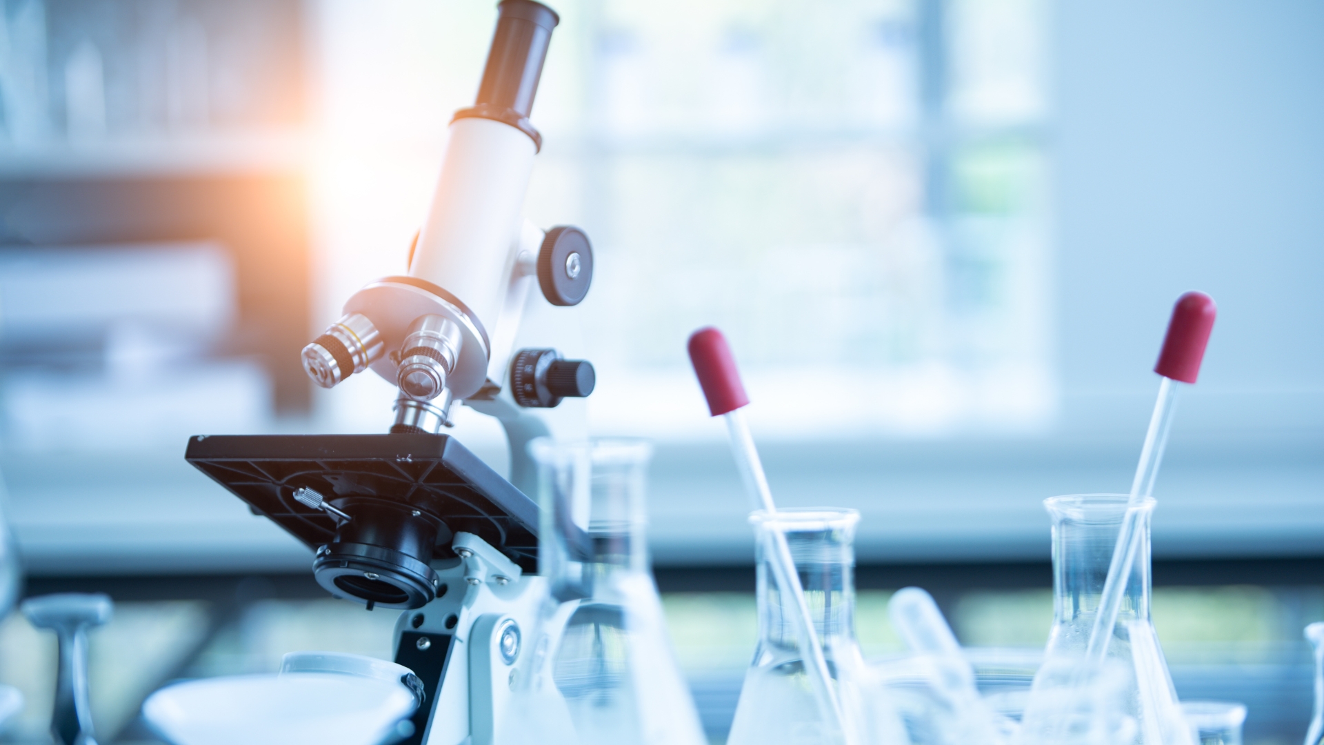 How to Streamline Ethics Committees for Faster Clinical Research in Italy